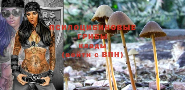 марки nbome Лиски