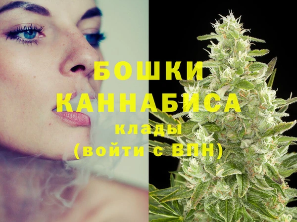 гидра Лабытнанги