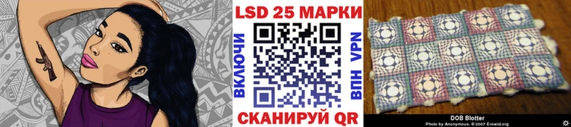 kraken сайт  купить   Черноголовка  Марки 25I-NBOMe 1,8мг 
