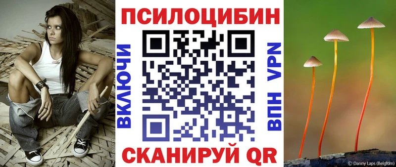 Галлюциногенные грибы Psilocybe KRAKEN ONION Черноголовка
